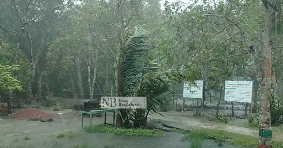 বৃষ্টিতে ছাদ থেকে পড়ে কিশোরীর মৃত্যু