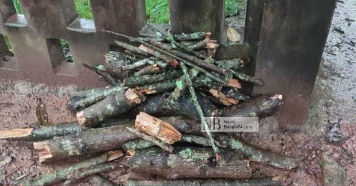 সিত্রাং: নড়াইলে গাছের ডাল ভেঙে পড়ে প্রাণহানি