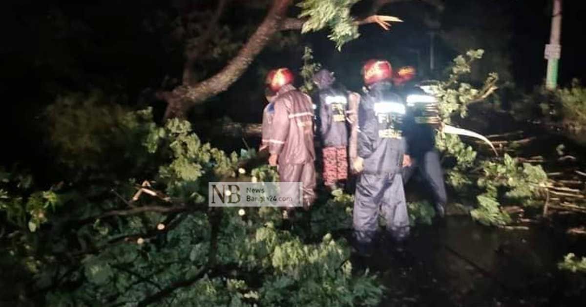 সিত্রাং: কুমিল্লায় গাছ উপড়ে সন্তানসহ দম্পতির মৃত্যু