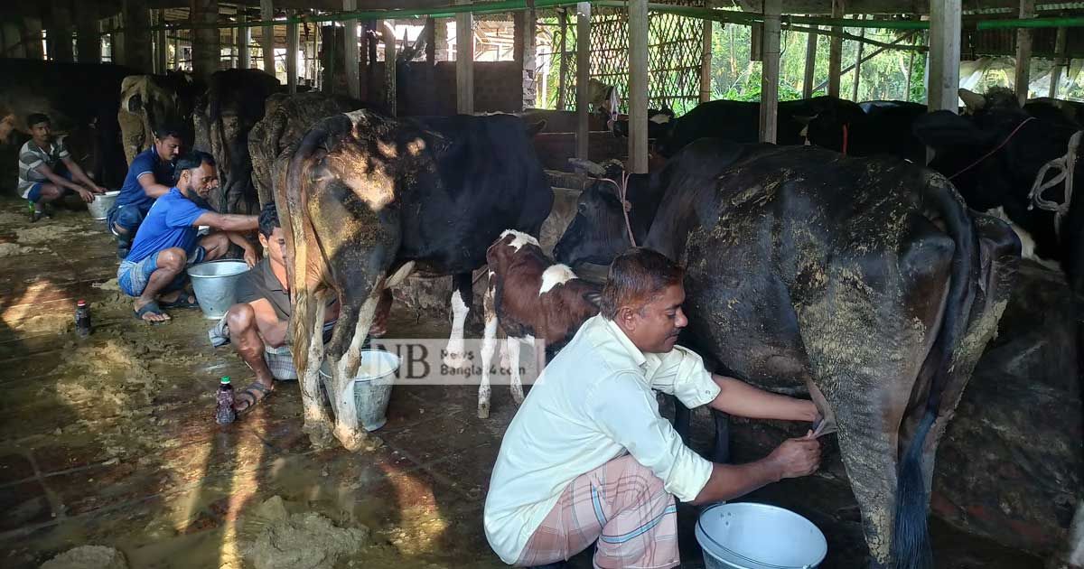 দুগ্ধগ্রাম ছিলোনীয়া