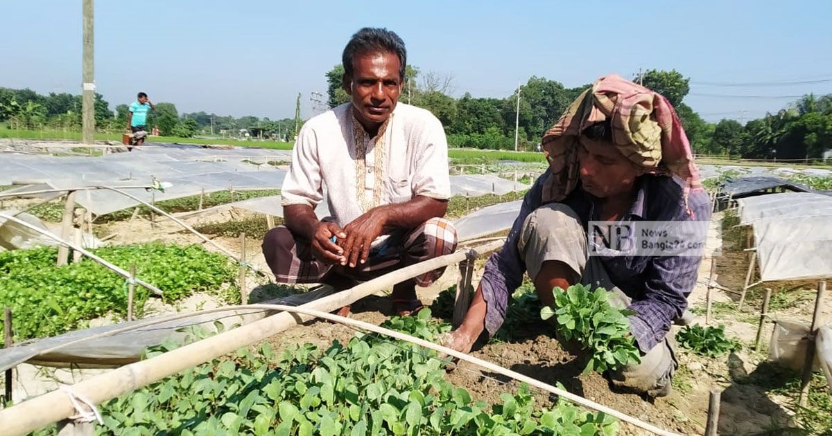 মাসে কোটি টাকার চারা বিক্রি সমেষপুরে
