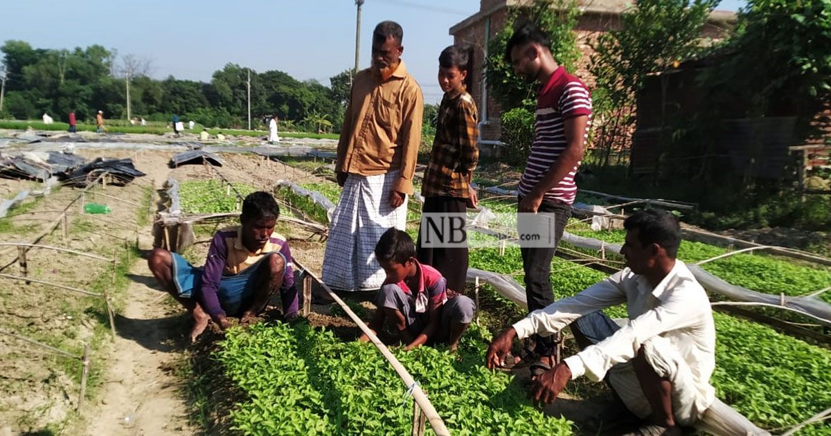 মাসে কোটি টাকার চারা বিক্রি সমেষপুরে
