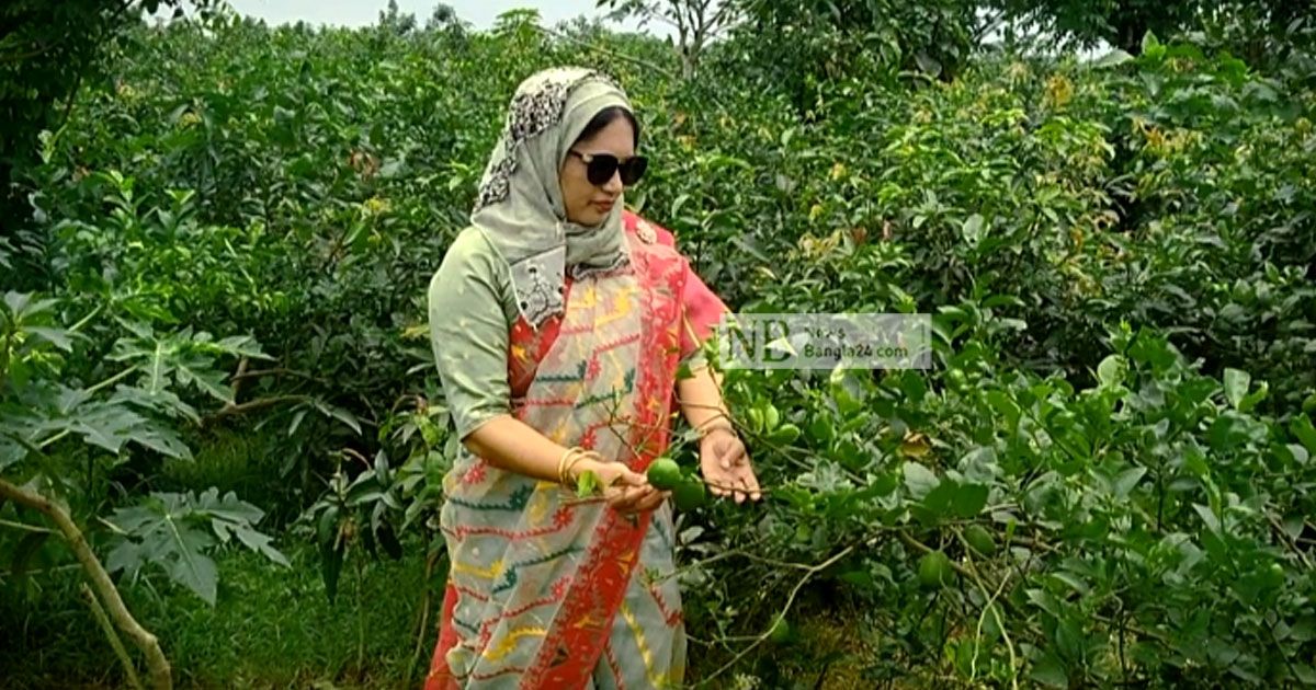 জেসমিনের নার্সারিতে ৩০০ প্রজাতির গাছ, করেছেন কর্মসংস্থানও