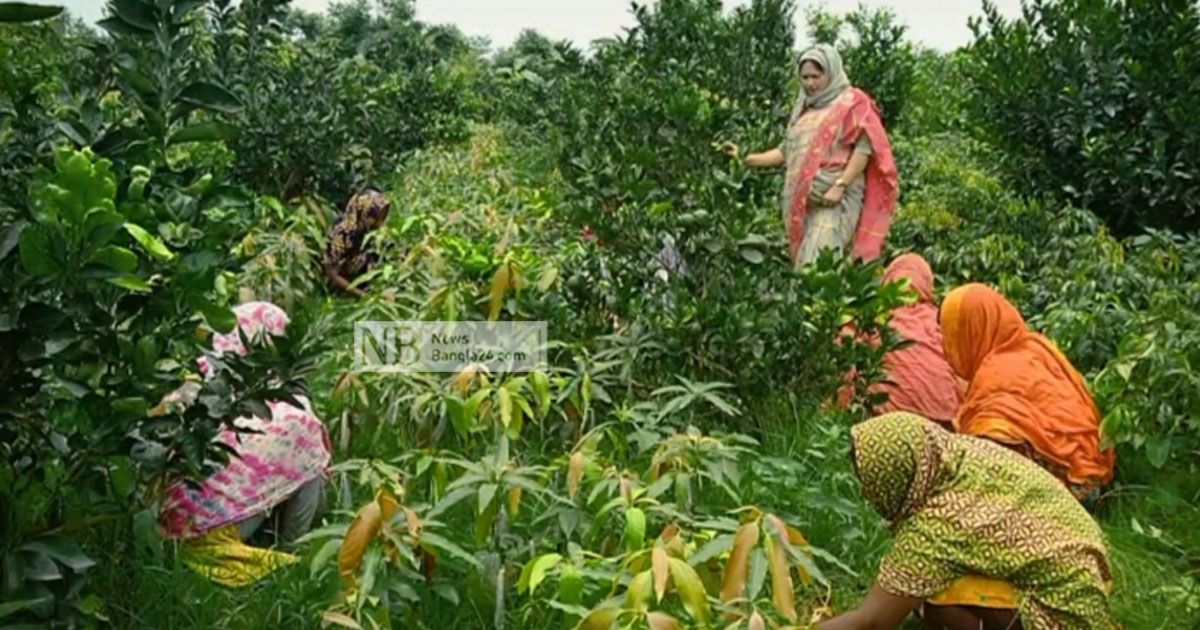 জেসমিনের নার্সারিতে ৩০০ প্রজাতির গাছ, করেছেন কর্মসংস্থানও