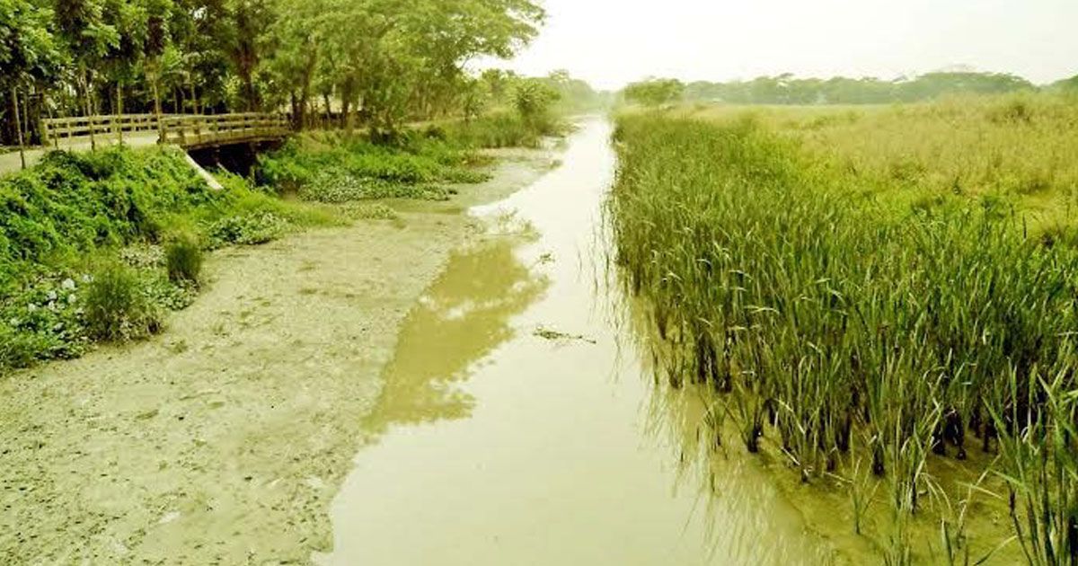 ধানসিঁড়ি-নদীর-অবৈধ-দখলদার-উচ্ছেদের-নির্দেশ