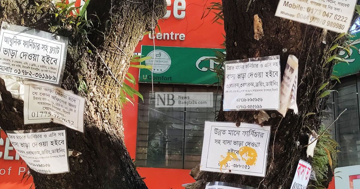 সিলেটের অভিজাত এলাকায় এখন ‘গরিবি হাল’