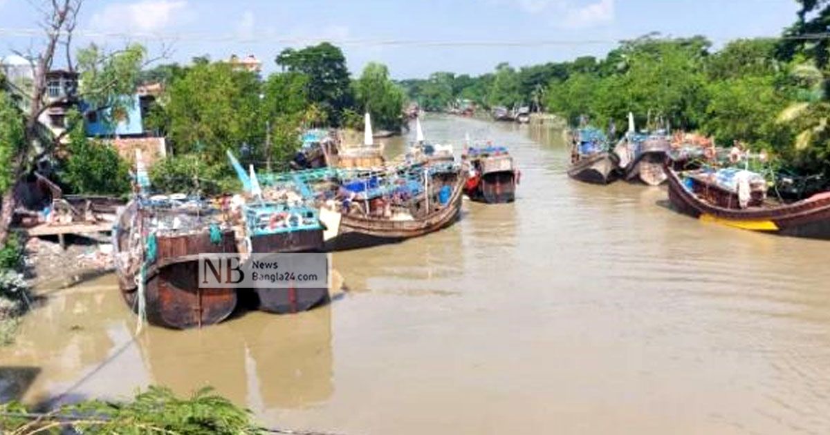 নিষেধাজ্ঞা-শেষে-ইলিশ-শিকারে-বাধা-বিদ্যুৎ-সংকট