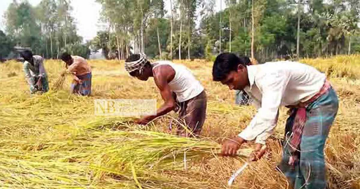 ‘খাদ্য সংকট মোকাবিলা সম্ভব, দেশে দুর্ভিক্ষ হবে না’