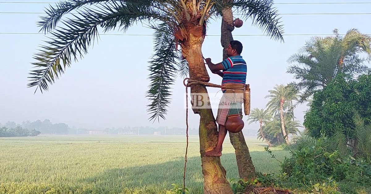 ক্রেতার-সামনেই-গাছ-থেকে-রস-পেড়ে-গুড়