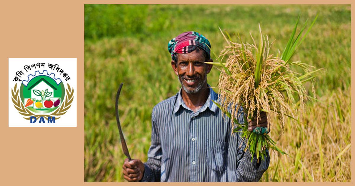 ২৫ চাকরি দিচ্ছে কৃষি বিপণন অধিদপ্তর