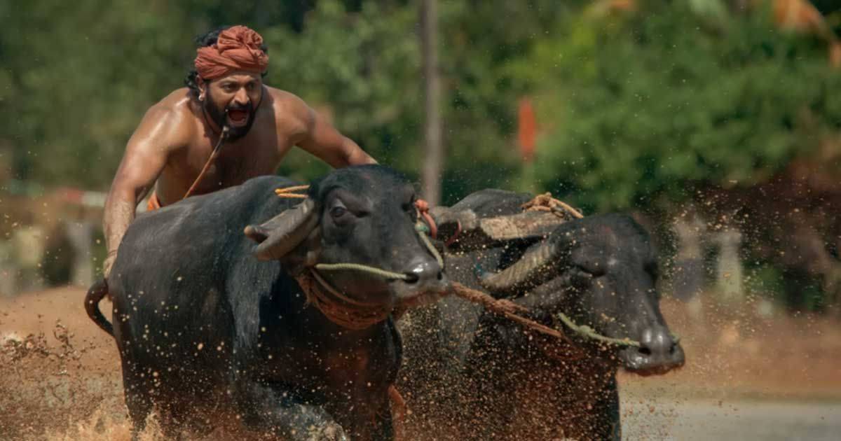 ‘কানতারা’র সফলতায় বলিউডে ডাক পাচ্ছেন ঋষভ শেঠি