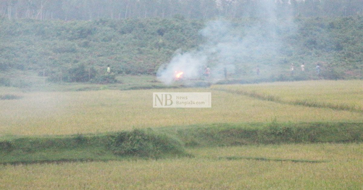 ধানক্ষেত বাঁচাতে গিয়ে হাতির আক্রমণে গেল প্রাণ