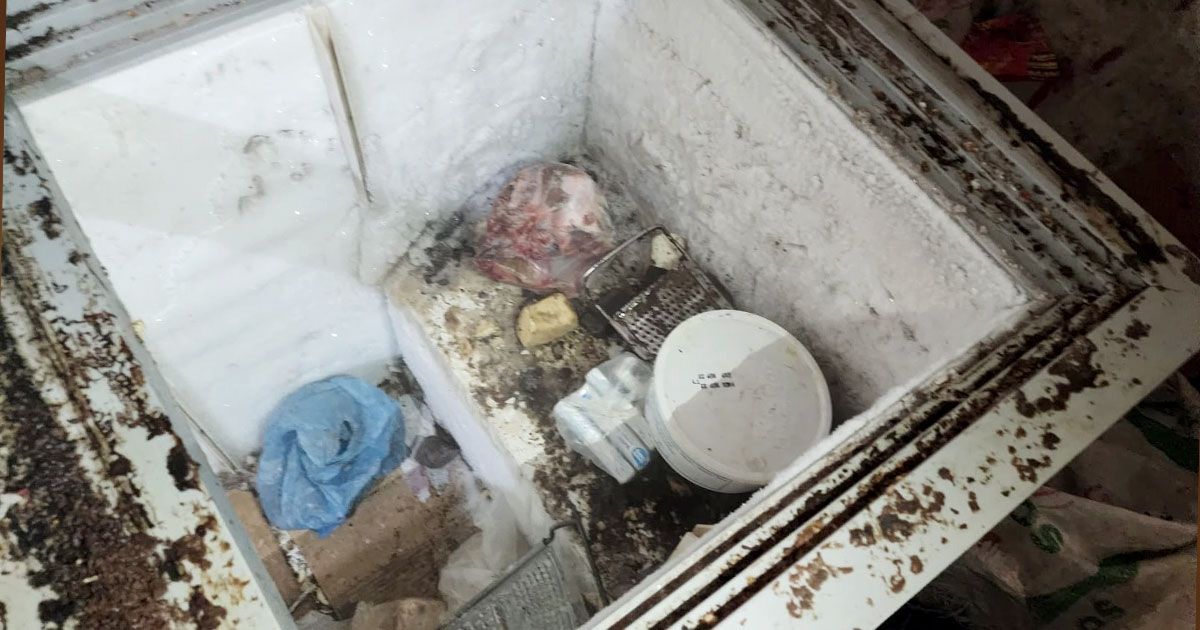 বাহারি এই কেকের পেছনের গল্পটি শুনুন
