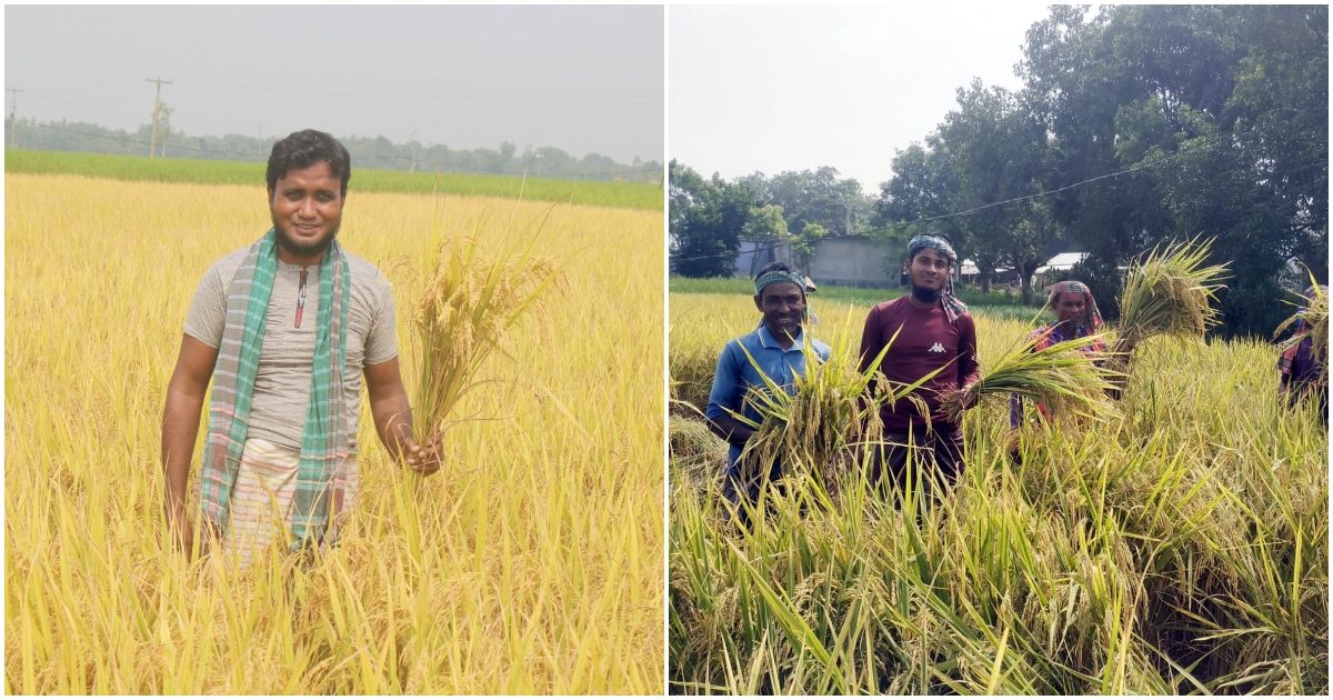 বাংলাদেশে-দুর্ভিক্ষের-শঙ্কা-দেখছে-না-ডব্লিউএফপি