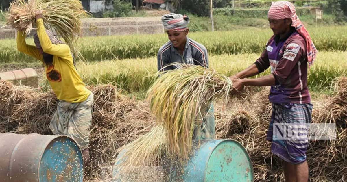 ধান-চাল ব্যবসায়ীদের রিটার্ন জমা প্রতি সপ্তাহে