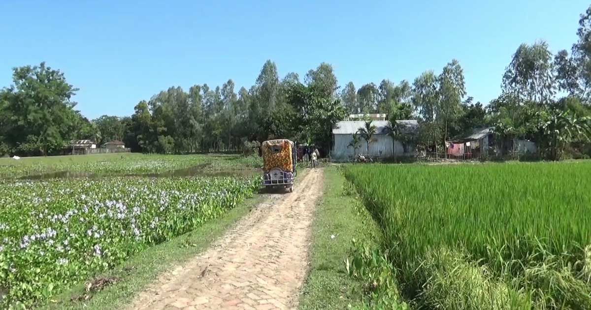 স্কুল-শিক্ষক-শিক্ষার্থী-নেই-জাতীয়করণে-এমপির-সুপারিশ