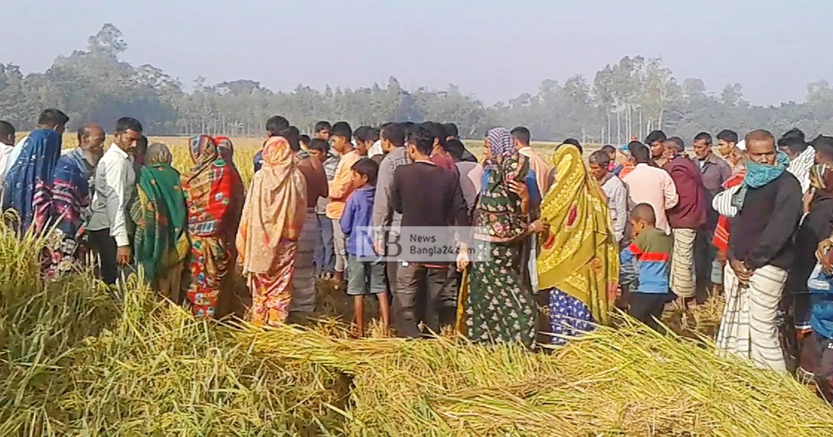 নওগাঁয়-ধানক্ষেতে-বৃদ্ধের-মরদেহ