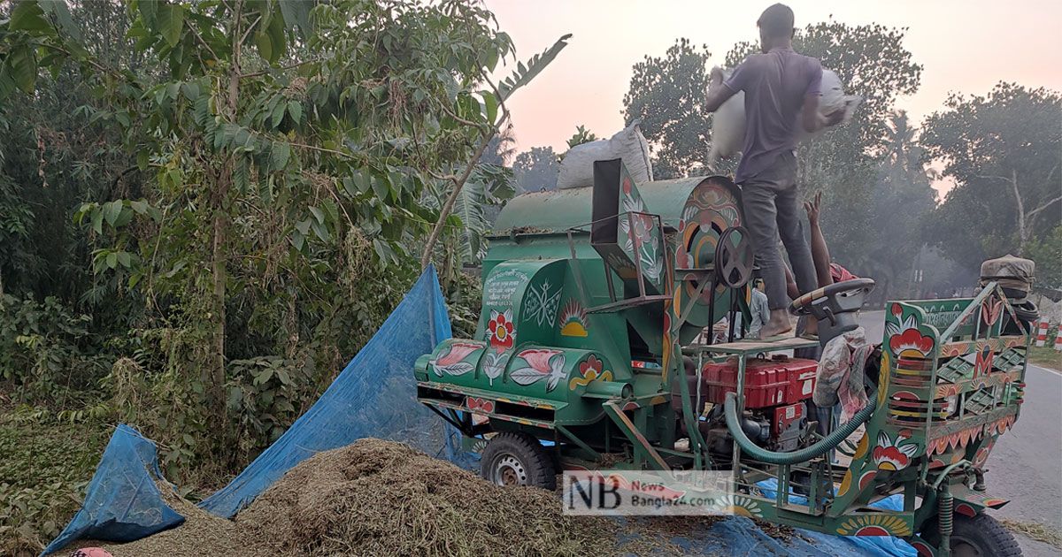 ফলন-বিপর্যয়ের-বছরে-রেকর্ড-দামে-বিক্রি-হচ্ছে-কলাই