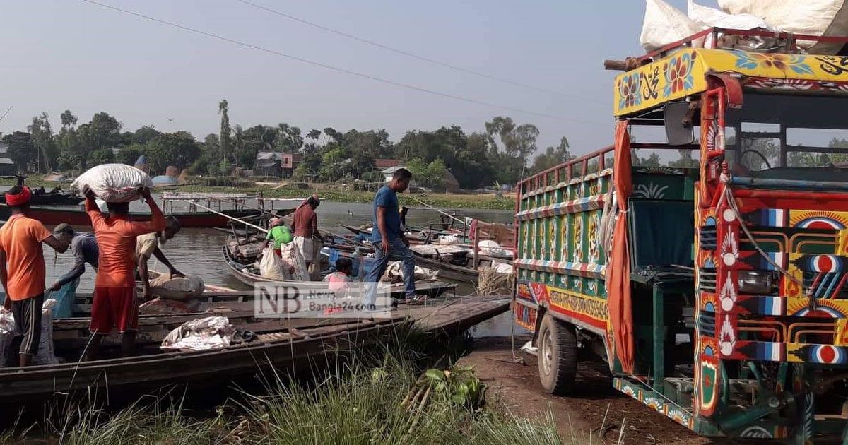 সিরাজগঞ্জে অবাধে শামুক নিধন, উর্বরতায় হুমকি