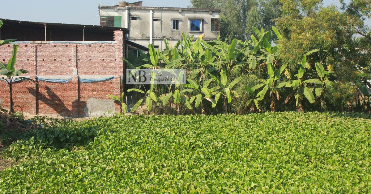 পাউবোর ক্যানেলে ঘর, বিপাকে ২০০ পরিবার