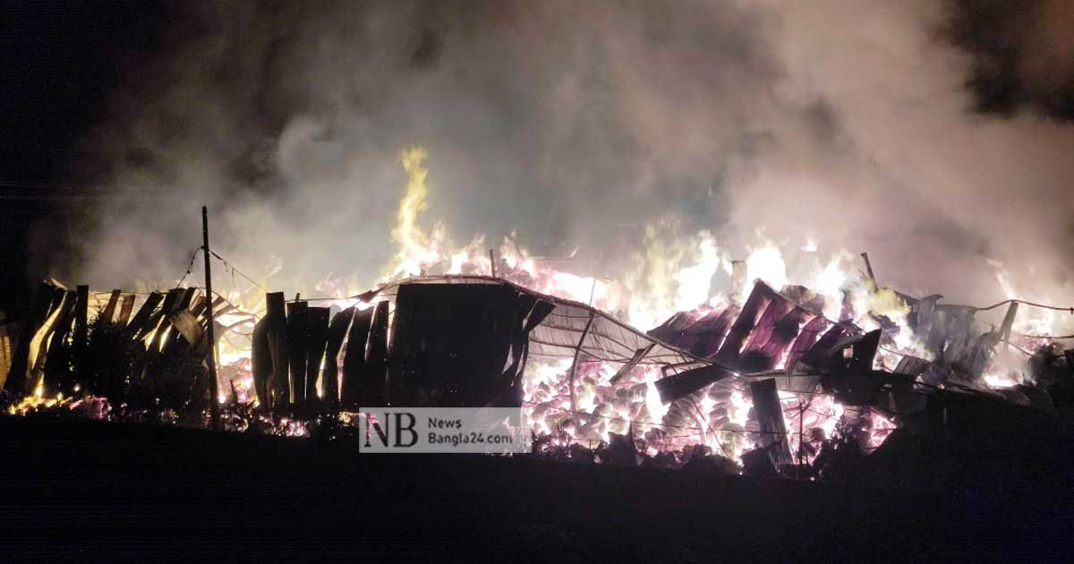 ১০ ঘণ্টা পুড়িয়ে থামল তুলার কারখানার আগুন