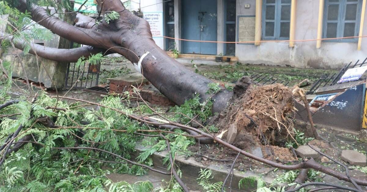 চেন্নাইয়ে মানদোসের তাণ্ডব