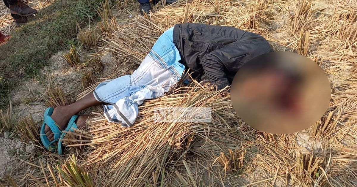 বর্গা নেয়া জমিতে কৃষকের মরদেহ