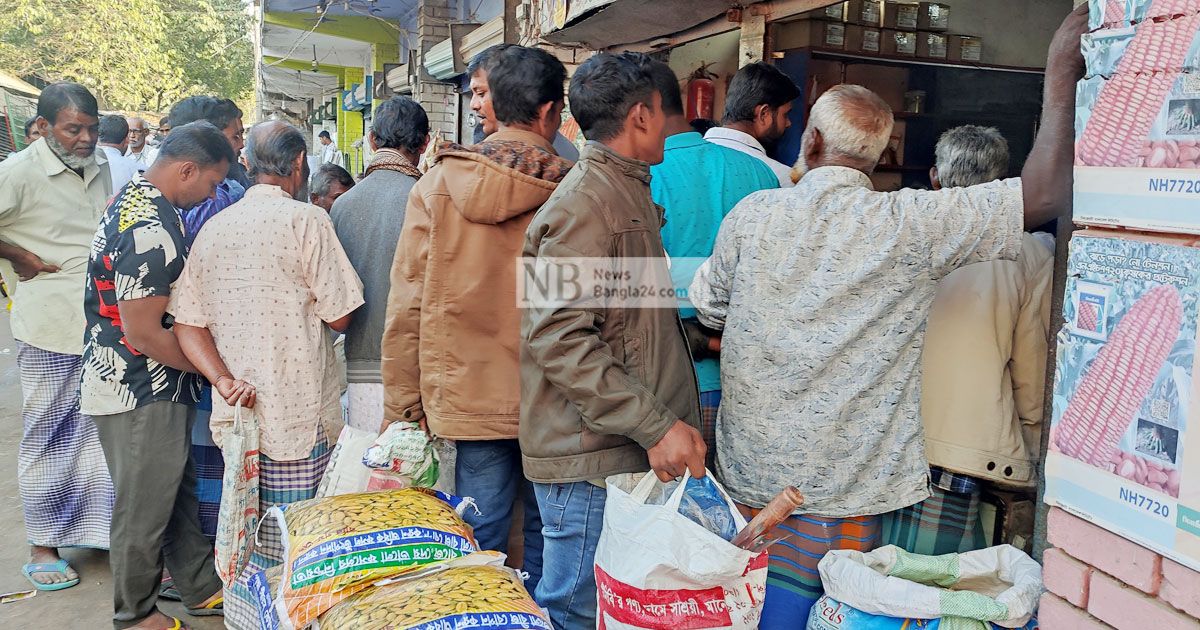 মেহেরপুরে গমের বীজসংকট, দিশেহারা কৃষক