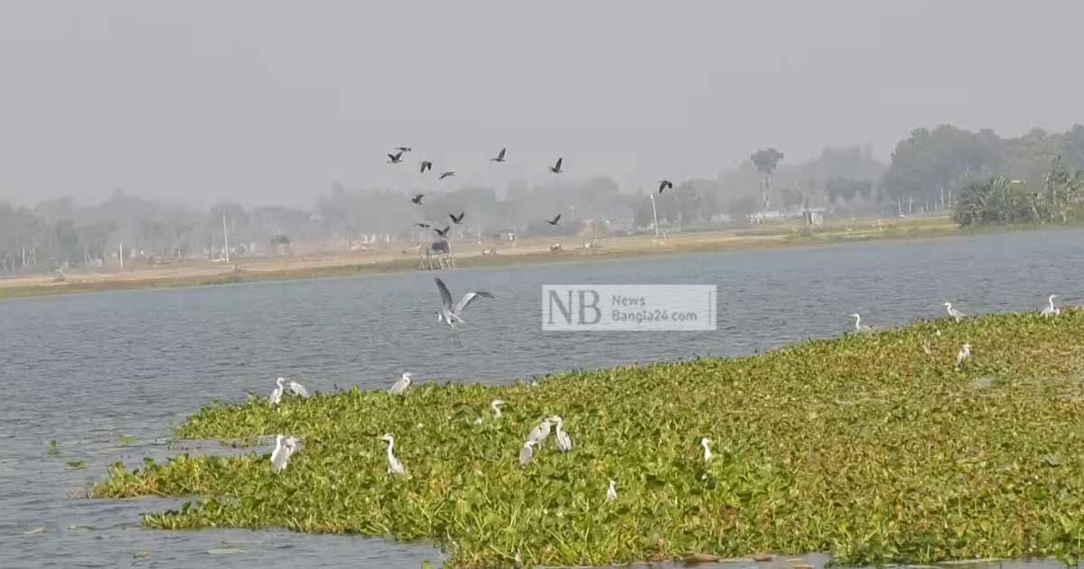 উকরি বিলে অবাধ ওড়াওড়ি
