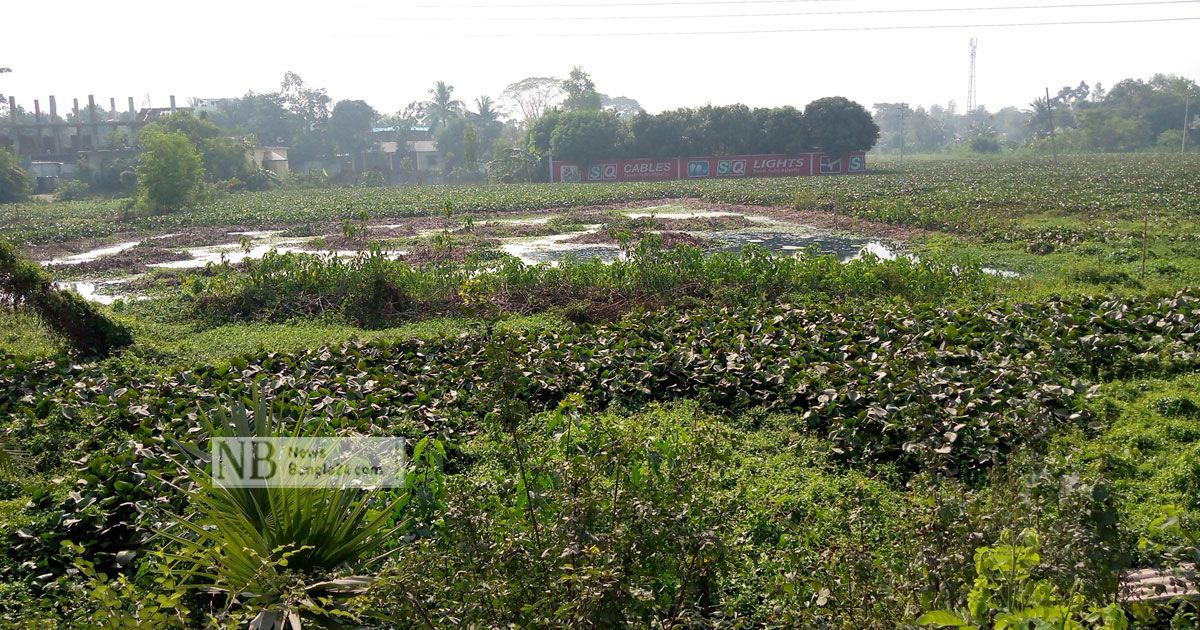 কারখানার বর্জ্য ঠেকাতে ৩ ইউনিয়নের জোট