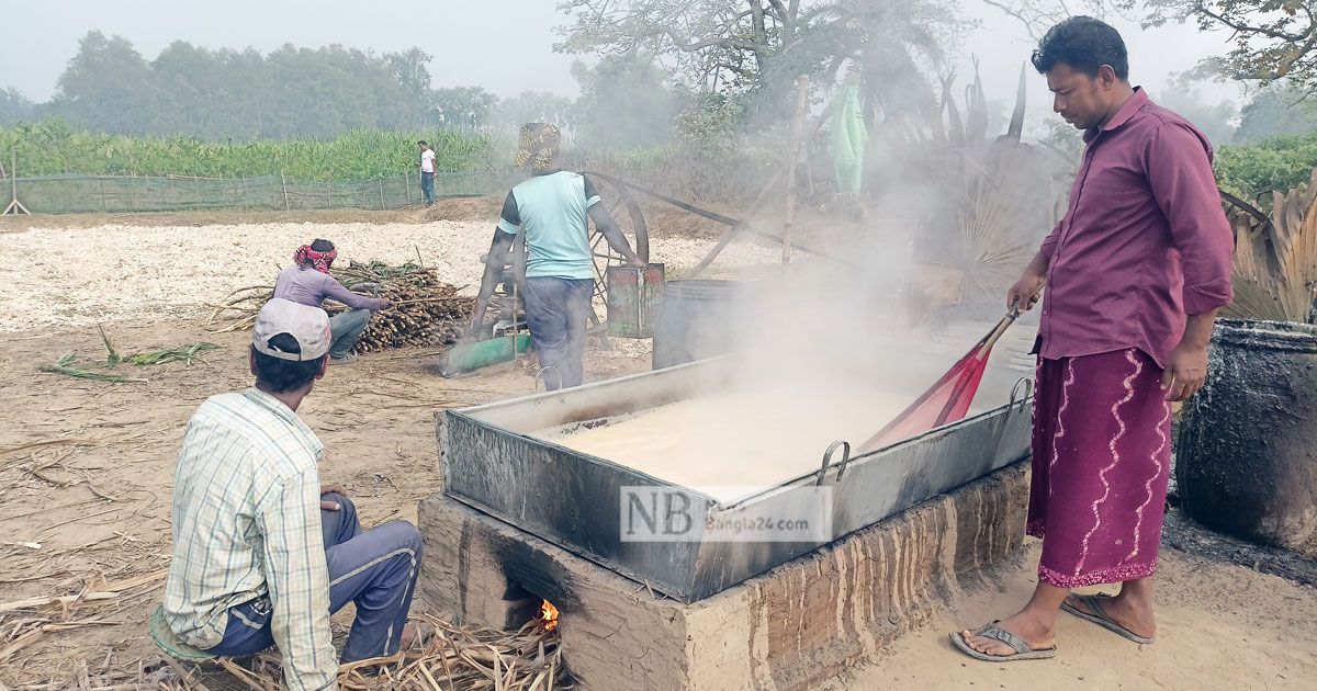 গোমতীর চরে আখের গুড়ের ঘ্রাণ