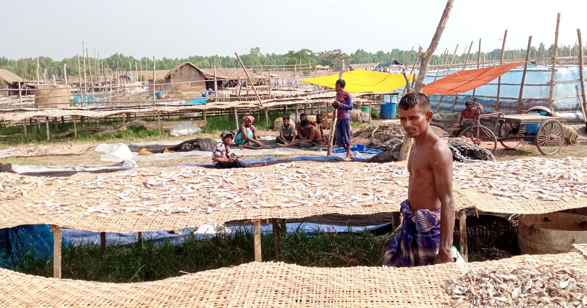 ৪ কোটি টাকা রাজস্ব দিয়েও সুবিধাবঞ্চিত দুবলার শুঁটকিপল্লি