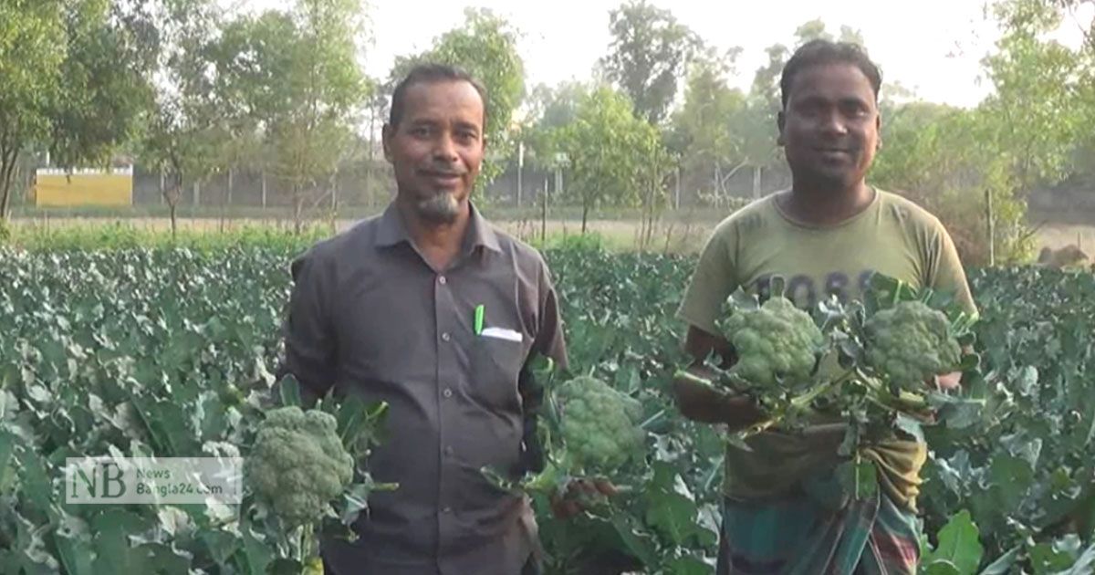 উচ্চমূল্যের সবজির বিক্রয়কেন্দ্র চান হবিগঞ্জের চাষিরা