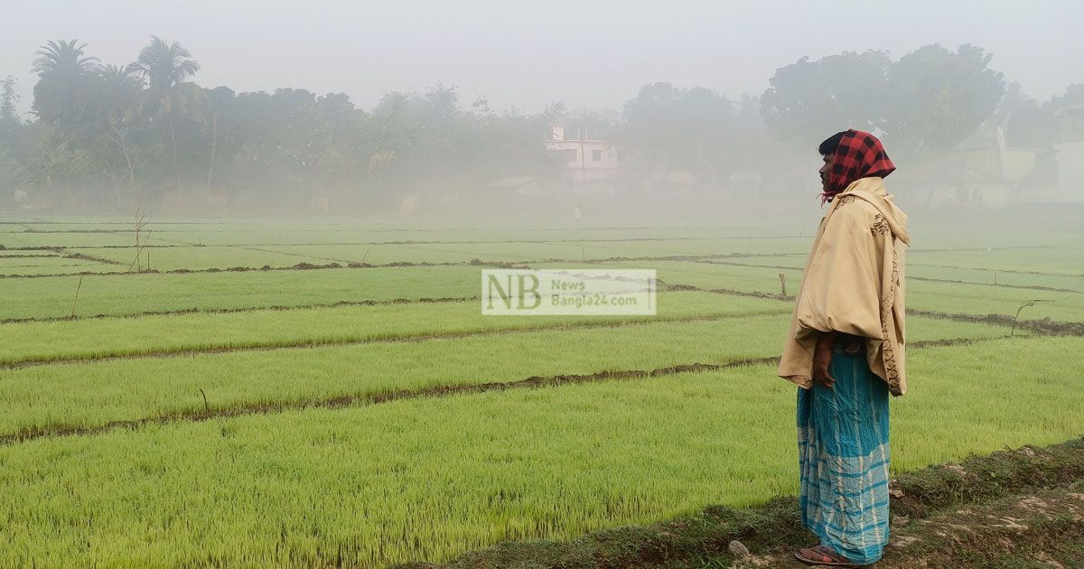 মৃদু শৈত্যপ্রবাহে থমকে গেছে চুয়াডাঙ্গার কর্মচাঞ্চল্য