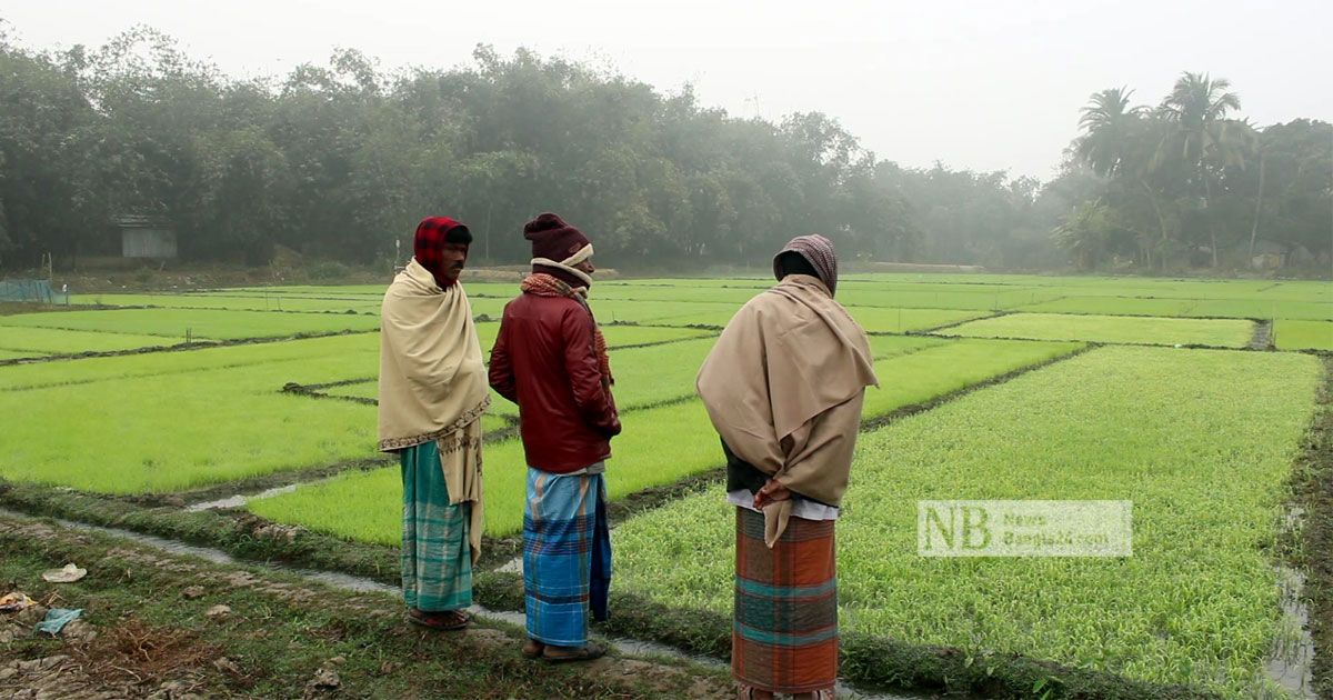 সর্বনিম্ন-তাপমাত্রায়-কর্মচাঞ্চল্য-নেই-চুয়াডাঙ্গায়