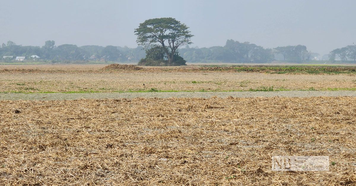 সংঘর্ষে বাড়িছাড়া দিনের পর দিন  