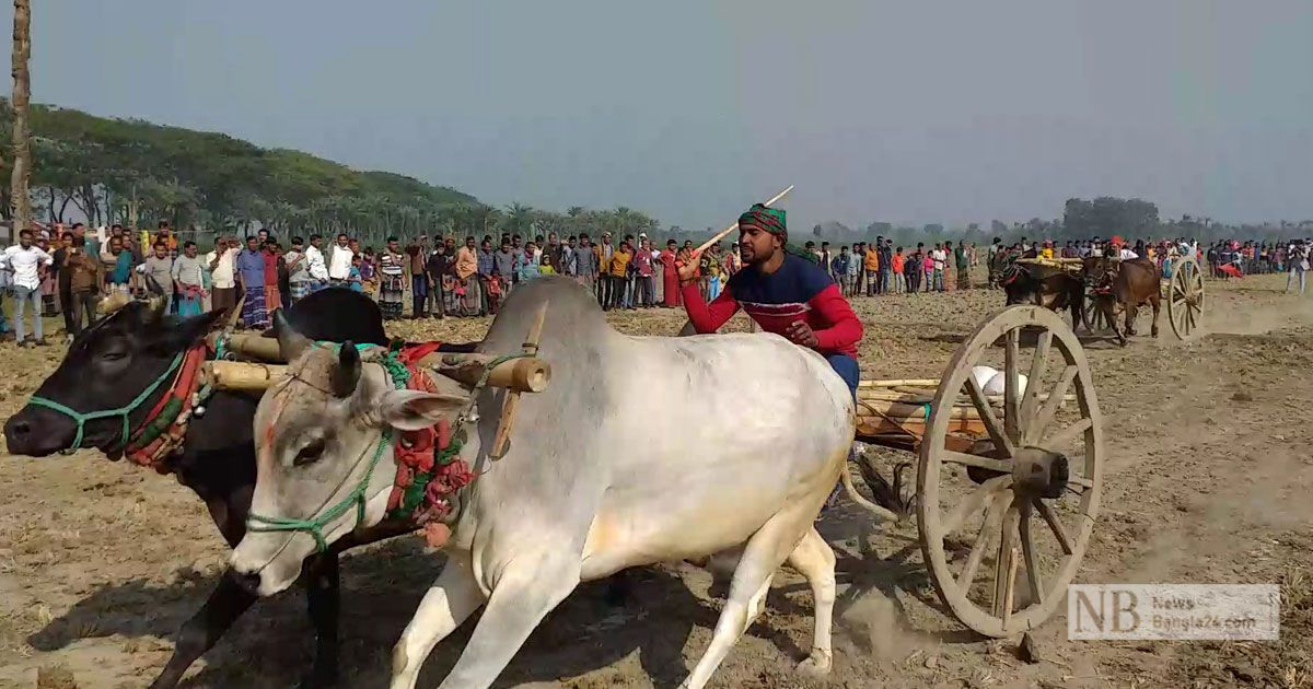 ‘ভালো লাগে, মানুষ খেলা দেখে আনন্দ পায়’