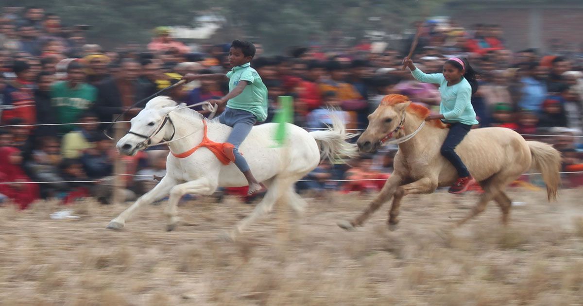 দুই-বোনের-ঘোড়দৌড়