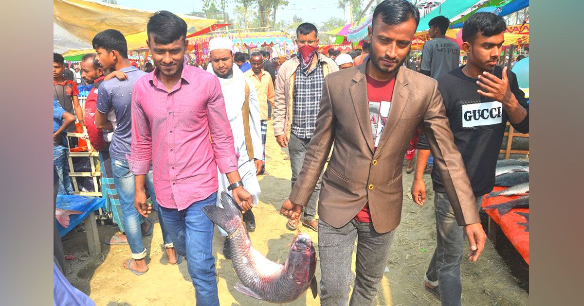 পোড়াদহ-মেলা-বাগাড়ের-দখল-নিয়েছে-কাতল-বিগহেড