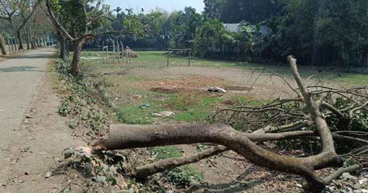আসছেন-মন্ত্রী-কাটা-পড়ছে-গাছ