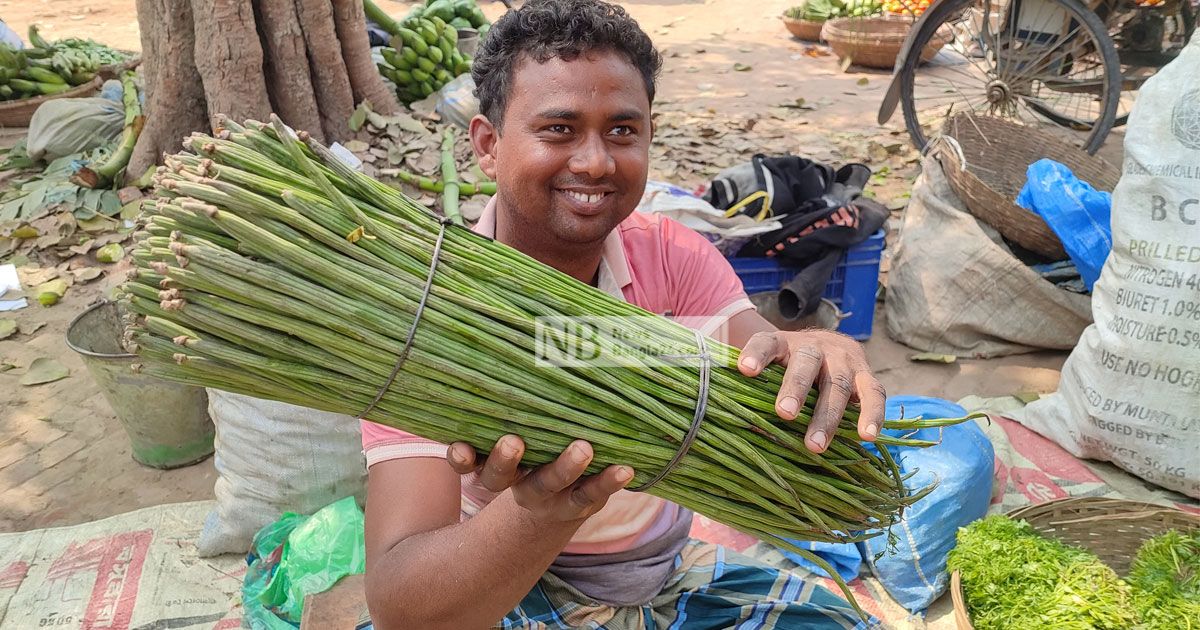 রেকর্ড ভেঙে সজনে ডাটার কেজি ৫০০