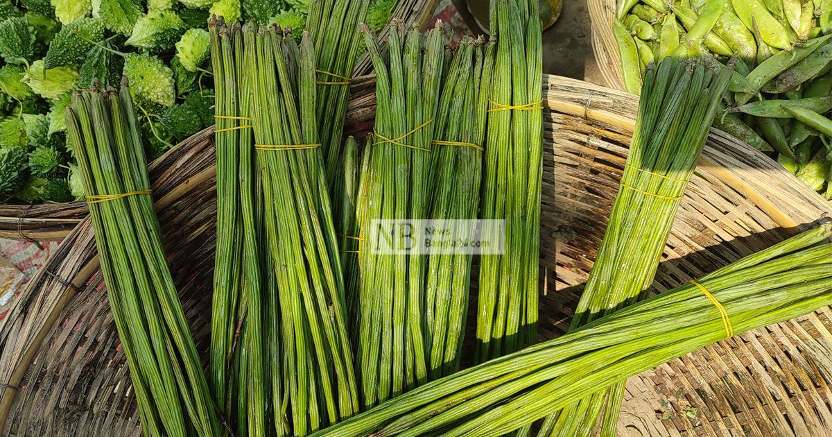 রেকর্ড ভেঙে সজনে ডাটার কেজি ৫০০