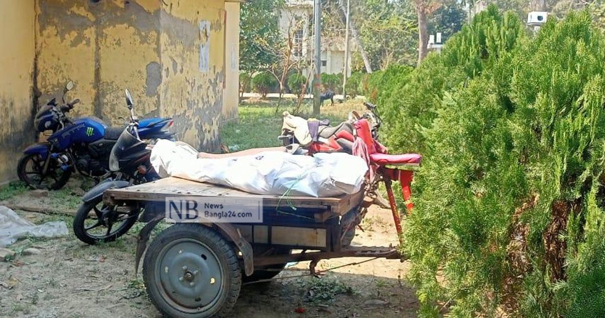 মধুর-চাক-কাটতে-গিয়ে-বিদ্যুৎস্পৃষ্ট-হয়ে-যুবকের-মৃত্যু