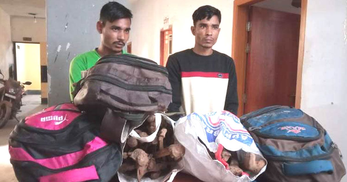 বগুড়ায়-৪-ব্যাগ-কঙ্কালসহ-আটক-২