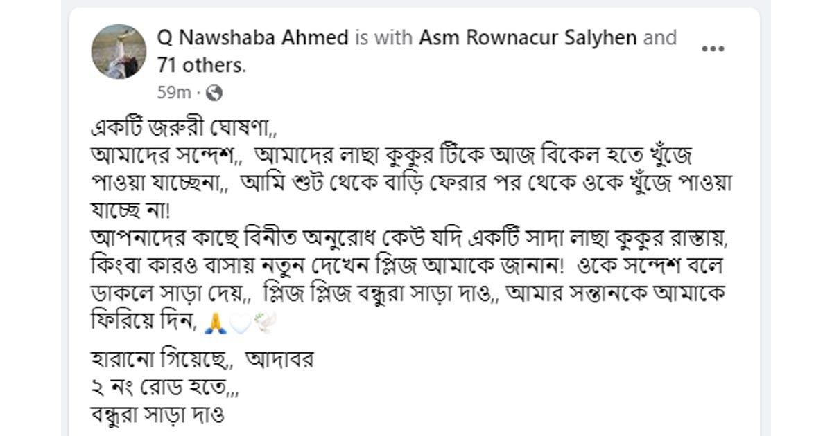নওশাবার পোষা কুকুর হারিয়েছে 