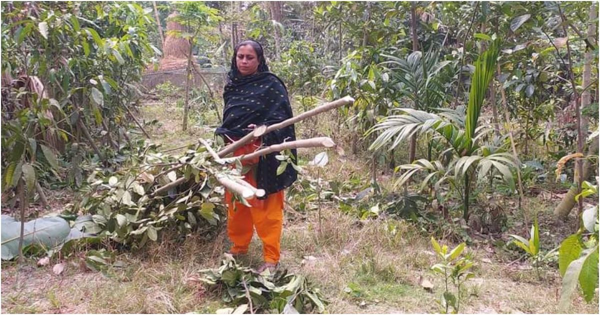 গাছের সঙ্গে এ কেমন শত্রুতা