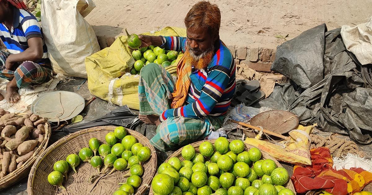 বেগুনের দাম একদিনের ব্যবধানে দ্বিগুণ