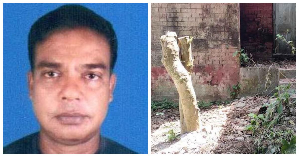 অফিস-পাহারার-ফাঁকে-সরকারি-গাছ-চুরি
