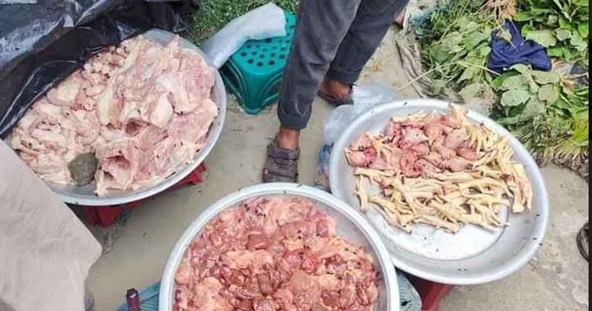 মরা-মুরগি-বিক্রি-করতে-গিয়ে-কারাগারে