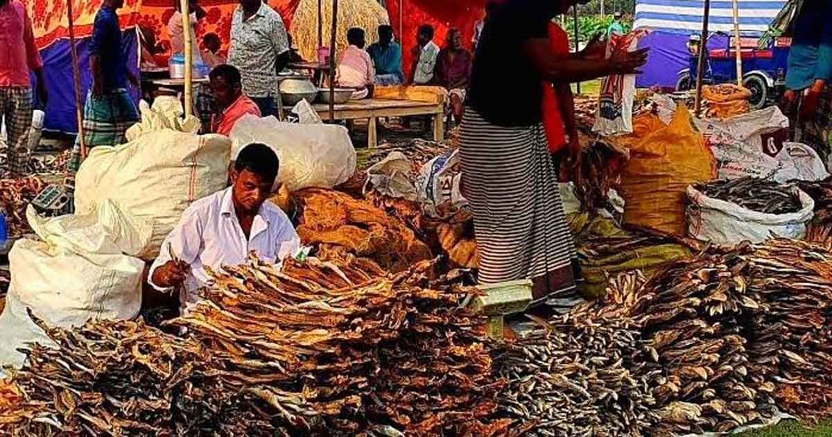 ঐতিহ্য হারাচ্ছে নাসিরনগরের শুঁটকি মেলা